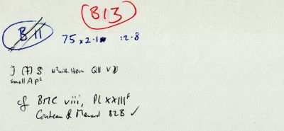 B13.jpg