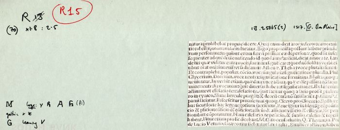 R15.jpg