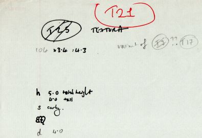 T21.jpg