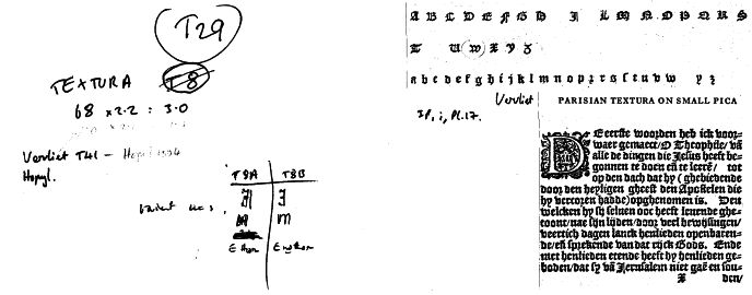 T29.jpg